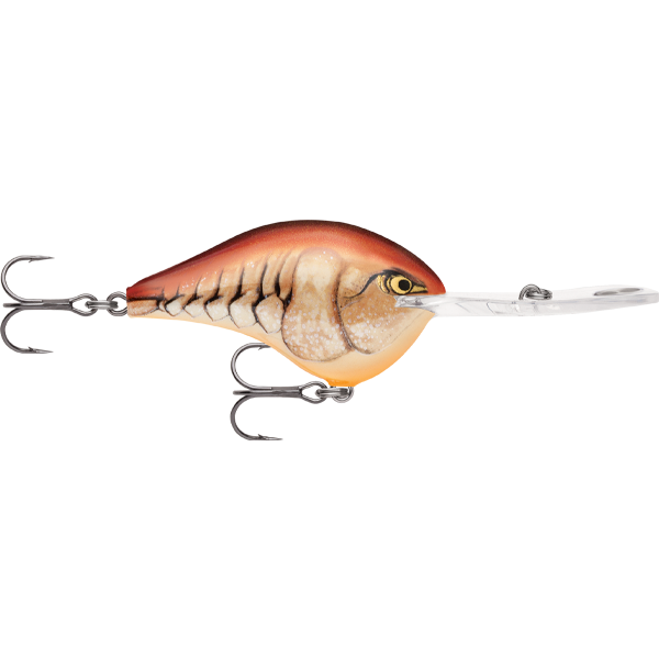 Rapala DT Dives To 4 Hard Body Lure